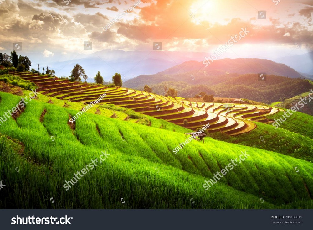 Ruộng bậc thang Tây Bắc MRBT-006